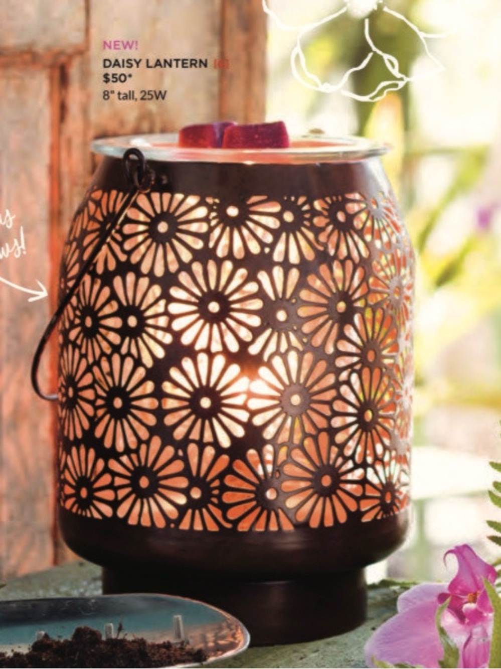 Scentsy Daisy Lantern Warmer